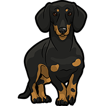DachsMoji - Dachshund Emoji & Sticker messages sticker-5