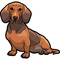 DachsMoji - Dachshund Emoji & Sticker messages sticker-7