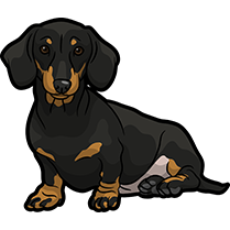 DachsMoji - Dachshund Emoji & Sticker messages sticker-1