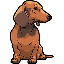 DachsMoji - Dachshund Emoji & Sticker messages sticker-3