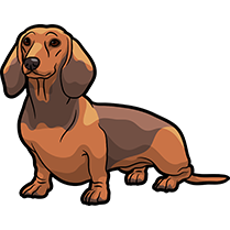DachsMoji - Dachshund Emoji & Sticker messages sticker-4