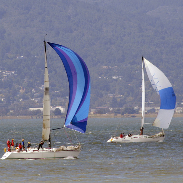Sail Race messages sticker-6