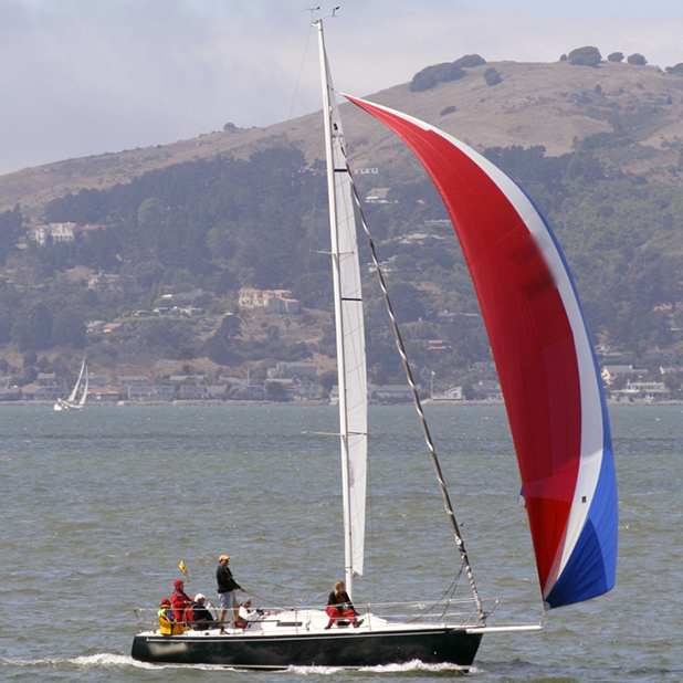 Sail Race messages sticker-10