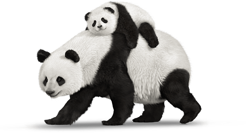 Real Animals messages sticker-3