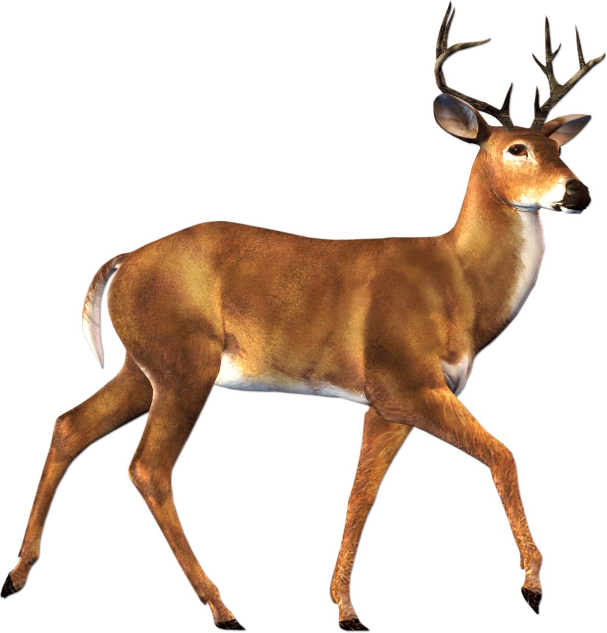 Real Animals messages sticker-9