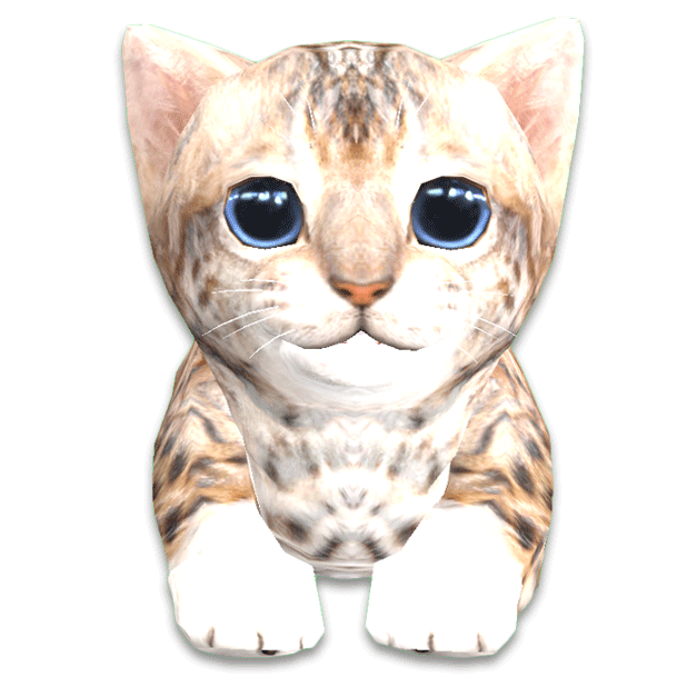 Cattery messages sticker-11