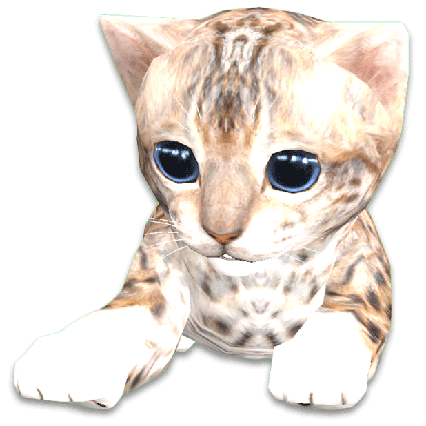 Cattery messages sticker-9