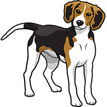 PitMoji - Dog Emoji & Stickers messages sticker-6