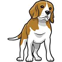PitMoji - Dog Emoji & Stickers messages sticker-7