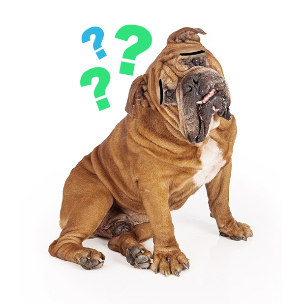 Rescue Petmoji messages sticker-4