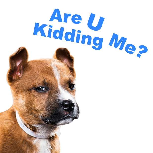 Rescue Petmoji messages sticker-1