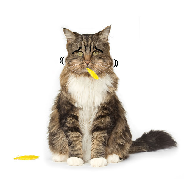 Rescue Petmoji messages sticker-8