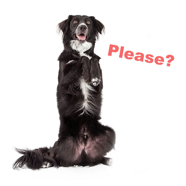 Rescue Petmoji messages sticker-2