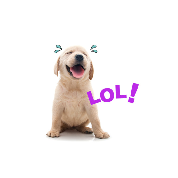 Rescue Petmoji messages sticker-11
