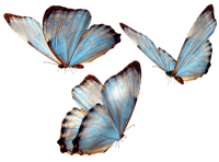 Nature Splash messages sticker-1