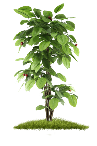 Nature Splash messages sticker-10