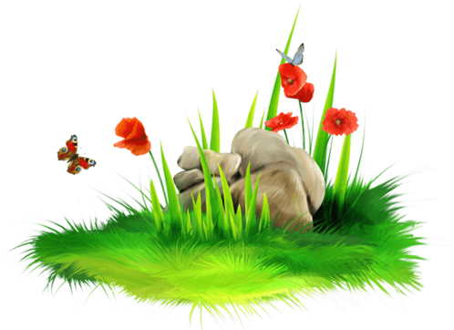 Nature Splash messages sticker-0