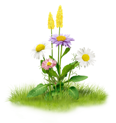 Nature Splash messages sticker-8