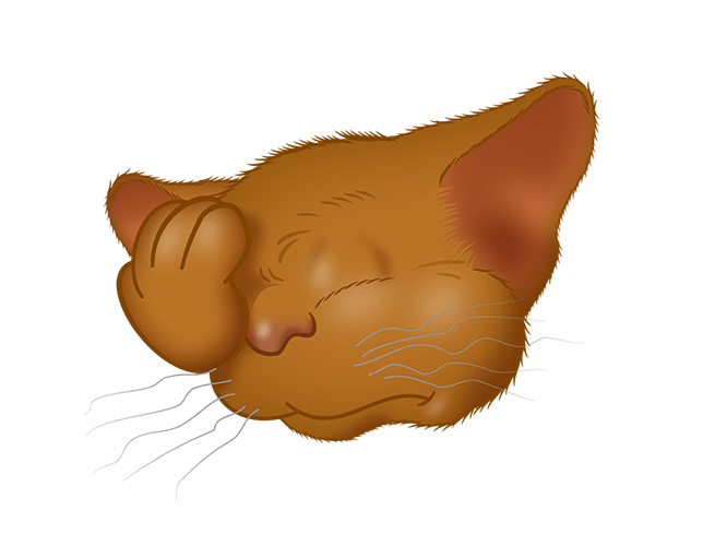 Brown Cat emoji messages sticker-6