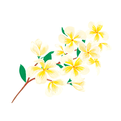 Kendra Scott Stickers messages sticker-3