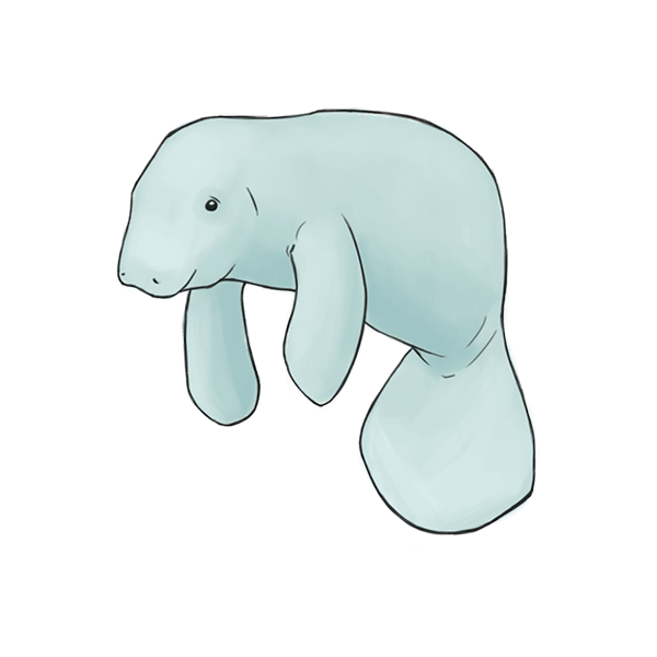 IFAWmojis Marine Mammals messages sticker-11