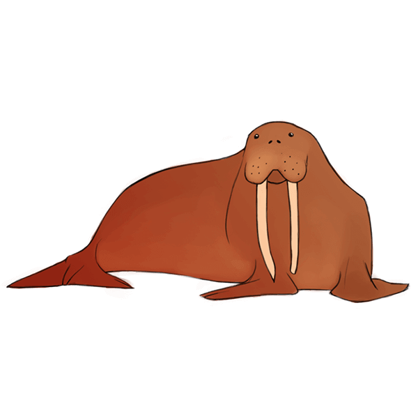 IFAWmojis Marine Mammals messages sticker-7