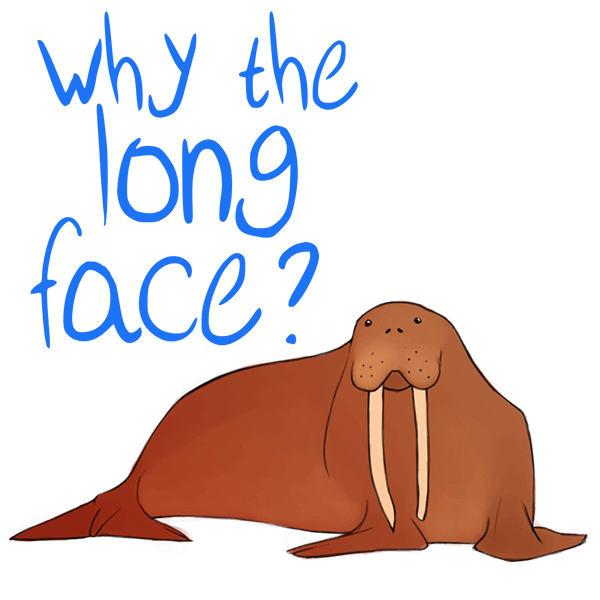 IFAWmojis Marine Mammals messages sticker-1