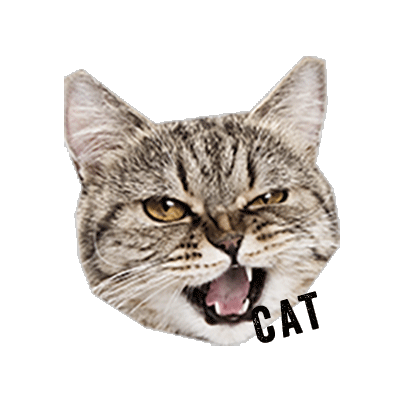 SSG 무비스타 - SSG Sticker messages sticker-5