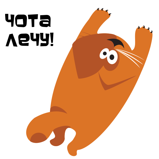 Кот Чо! messages sticker-5