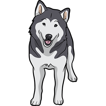 My Malmute DogMoji Stickers messages sticker-3
