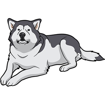 My Malmute DogMoji Stickers messages sticker-8