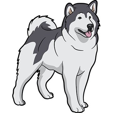 My Malmute DogMoji Stickers messages sticker-2