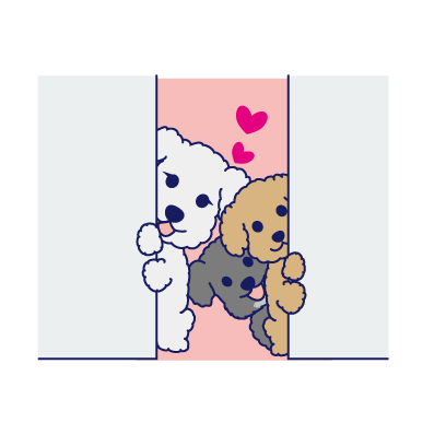 Happy Schnauzer and Toypoodle messages sticker-9
