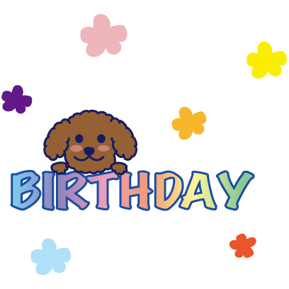 Happy Schnauzer and Toypoodle messages sticker-6