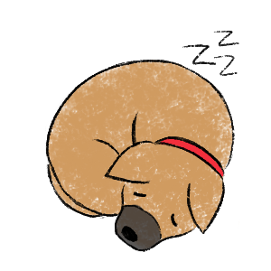Tee - Puppy Stickers messages sticker-5