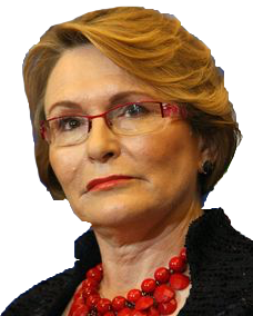 SA Political Stickers messages sticker-5