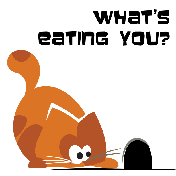 What the cat messages sticker-9