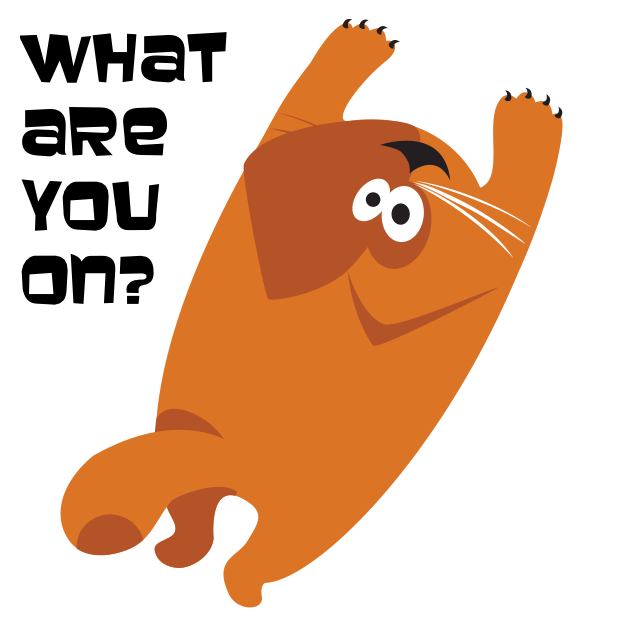 What the cat messages sticker-3