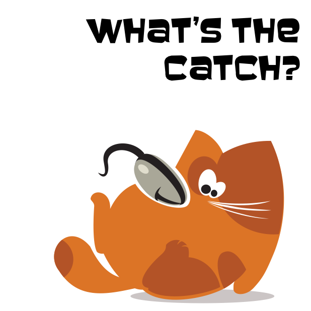 What the cat messages sticker-2