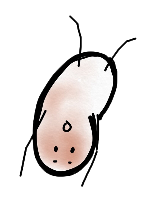 Cheeky Beans messages sticker-5