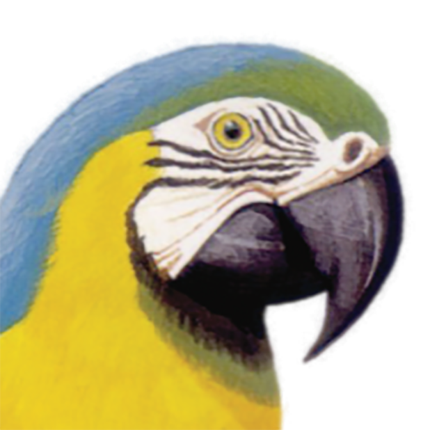 Macaw Stickerpack messages sticker-10