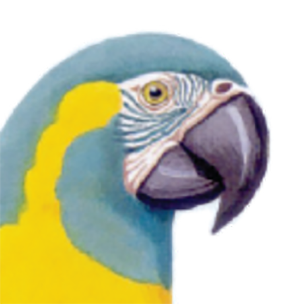Macaw Stickerpack messages sticker-11