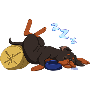 Dog Town: Pet Simulation Game messages sticker-2