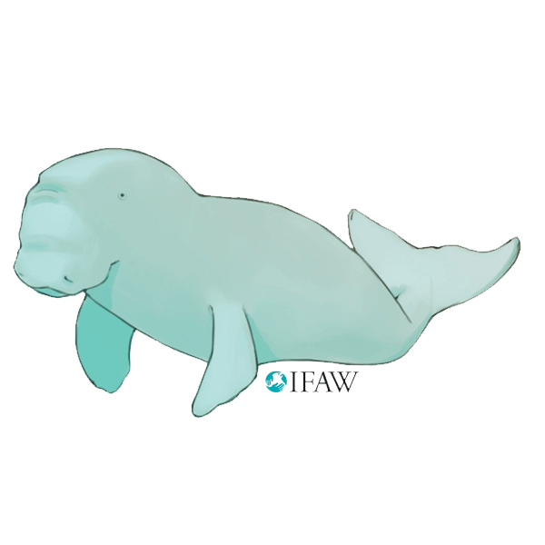 IFAWmojis Australia messages sticker-3
