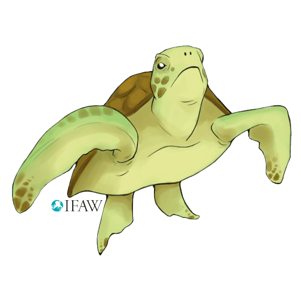 IFAWmojis Australia messages sticker-1
