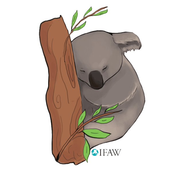 IFAWmojis Australia messages sticker-5
