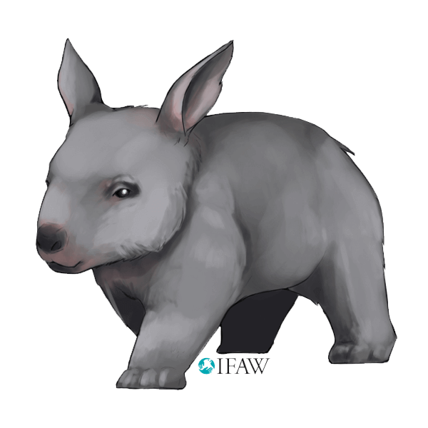 IFAWmojis Australia messages sticker-6