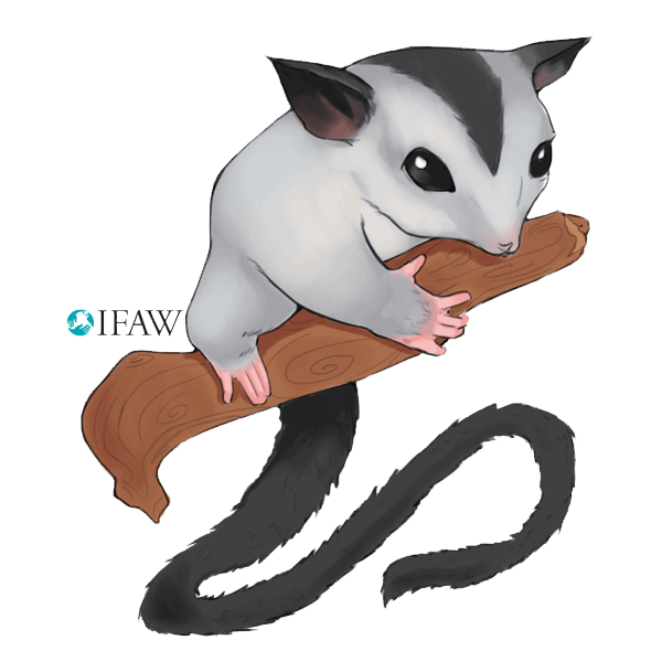 IFAWmojis Australia messages sticker-11