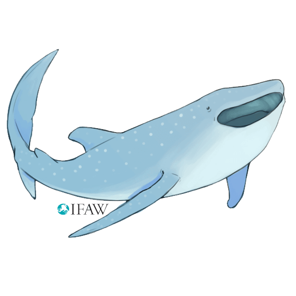 IFAWmojis Australia messages sticker-2