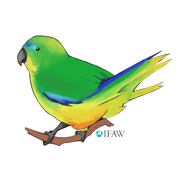 IFAWmojis Australia messages sticker-9